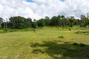 15265 Hebron Church Rd, Brooksville, FL 34614 - Photo 13