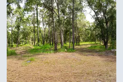 15265 Hebron Church Road, Brooksville, FL 34614 - Photo 9