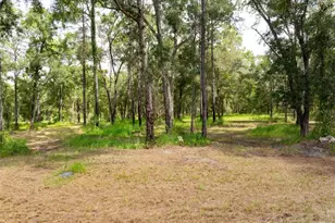 15265 Hebron Church Rd, Brooksville, FL 34614 - Photo 9