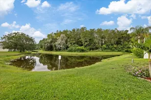 4320 Stones River Ct, New Port Richey, FL 34653 - Photo 47