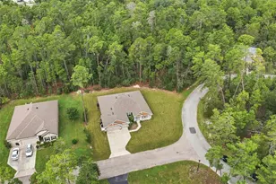 5 Petunias Ct, Homosassa, FL 34446 - Photo 47
