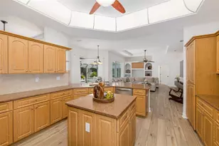 11382 Doxsey Hill Cir, Spring Hill, FL 34609 - Photo 17