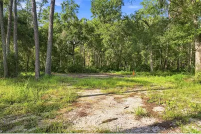 4311 Culbreath Road, Brooksville, FL 34601 - Photo 29