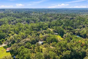 4311 Culbreath Rd, Brooksville, FL 34601 - Photo 37