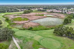 13227 Molitor Ct, Hudson, FL 34669 - Photo 51