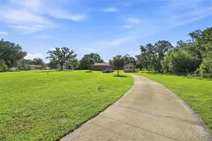 28850 Lindenhurst Dr, Wesley Chapel, FL 33544 - Photo 45