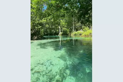 7401 Galloway Road, Weeki Wachee, FL 34613 - Photo 59