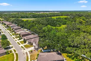 15561 Stone House Dr, Brooksville, FL 34604 - Photo 41