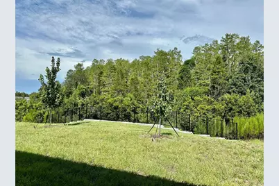 17797 Grassybend Loop, Land O Lakes, FL 34638 - Photo 57