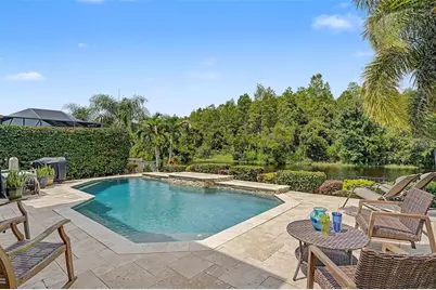 1231 Ketzal Drive, Trinity, FL 34655 - Photo 5