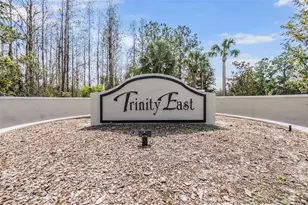 1231 Ketzal Dr, Trinity, FL 34655 - Photo 45