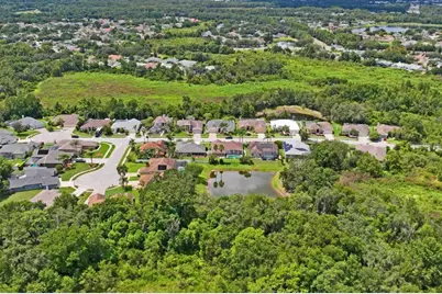 23218 Cypress Trail Drive, Lutz, FL 33549 - Photo 73