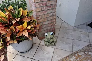 9014 Severn Ln, New Port Richey, FL 34655 - Photo 3