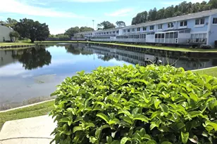 1778 Samurai Point, Lutz, FL 33558 - Photo 1