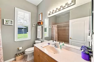 10531 Miracle Ln, New Port Richey, FL 34654 - Photo 39