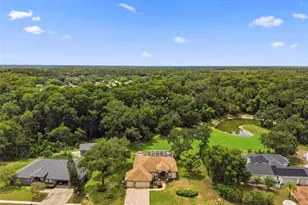 10531 Miracle Ln, New Port Richey, FL 34654 - Photo 61