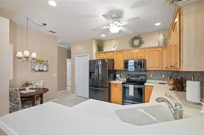 21143 Diamonte Drive, Land O Lakes, FL 34637 - Photo 15