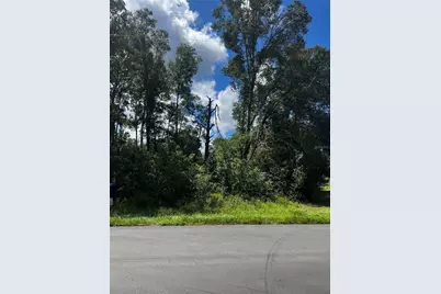 8534 W Basilico Street, Crystal River, FL 34428 - Photo 1