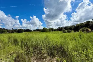 13331 Treaty Rd, Spring Hill, FL 34610 - Photo 1