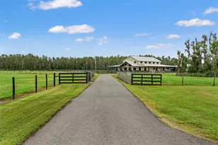 11657 Moore Rd, Lakeland, FL 33809 - Photo 41