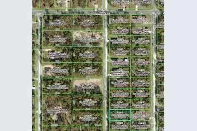 Malden Road, Weeki Wachee, FL 34614 - Photo 3