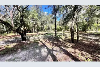 14535 Little Ranch Road, Spring Hill, FL 34610 - Photo 7