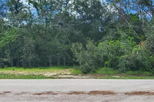 [Address not provided], Spring Hill, FL 34606 - Photo 1