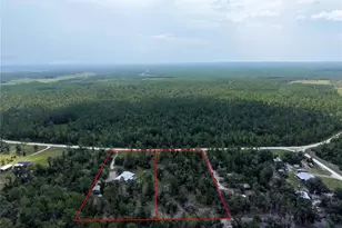 1292 Dennis Howell Rd, Perry, FL 32348 - Photo 1
