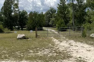 1292 Dennis Howell Rd, Perry, FL 32348 - Photo 9