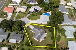 1630 Byrnedale Ct, Palm Harbor, FL 34684 - Photo 35