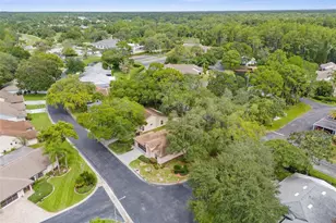 10846 Brookhaven Dr, New Port Richey, FL 34654 - Photo 29