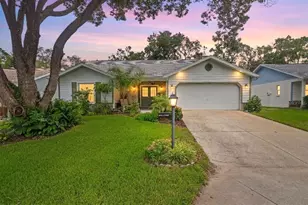 6342 Pine Meadows Dr, Spring Hill, FL 34606 - Photo 1