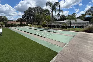 13315 Golf Ridge Pl, Hudson, FL 34669 - Photo 49