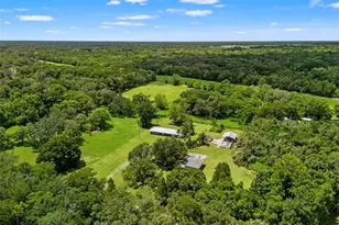 255 Benes Rd, Brooksville, FL 34604 - Photo 47