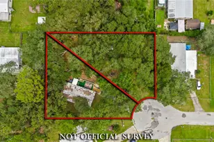 11231 NW 113 Pl, Chiefland, FL 32626 - Photo 5