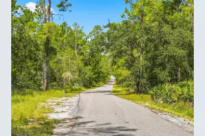 8333 Allen Drive, Weeki Wachee, FL 34613 - Photo 59