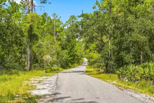 8333 Allen Dr, Weeki Wachee, FL 34613 - Photo 59