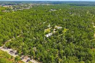 8333 Allen Dr, Weeki Wachee, FL 34613 - Photo 63