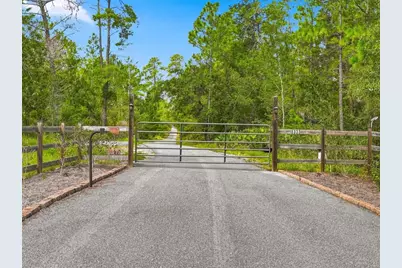 8333 Allen Drive, Weeki Wachee, FL 34613 - Photo 3