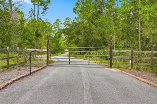 8333 Allen Dr, Weeki Wachee, FL 34613 - Photo 3