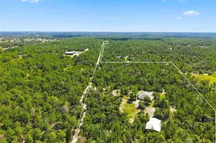 8333 Allen Dr, Weeki Wachee, FL 34613 - Photo 71
