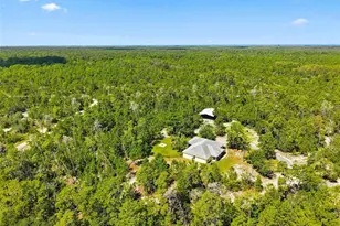 8333 Allen Dr, Weeki Wachee, FL 34613 - Photo 67