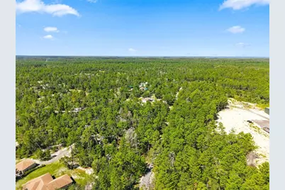 8333 Allen Drive, Weeki Wachee, FL 34613 - Photo 57