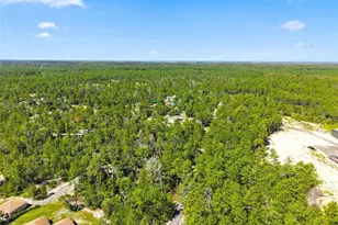 8333 Allen Dr, Weeki Wachee, FL 34613 - Photo 57