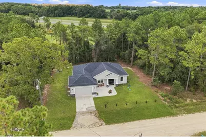 15450 Cliff Swallow Road, Weeki Wachee, FL 34614 - Photo 41