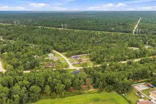 15450 Cliff Swallow Rd, Weeki Wachee, FL 34614 - Photo 45