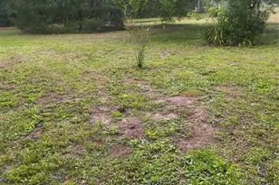 18250 Caufield Rd, Spring Hill, FL 34610 - Photo 41
