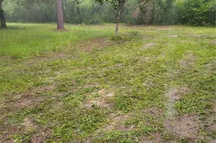 18250 Caufield Rd, Spring Hill, FL 34610 - Photo 43