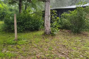 18250 Caufield Rd, Spring Hill, FL 34610 - Photo 39