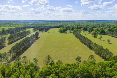 4639 SW Wilson Springs Road, Fort White, FL 32038 - Photo 71